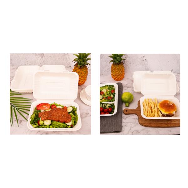 Takeaway Bagasse Lunch Box Sugarcane Disposable Containers 600ml