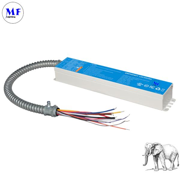 IP40 15W LED Emergency Battery Pack Panic Light Ballast LED Emergency Driver For Down Light Ceiling Light