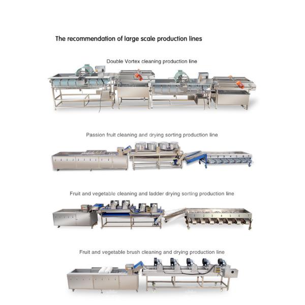Industrial Cassava Tomato Vegetable Processing Machine Drying And Selection