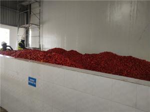 Buy cheap SGS Tomato Processing Line 2000T/D Concentrating Ketchup Processing Line product