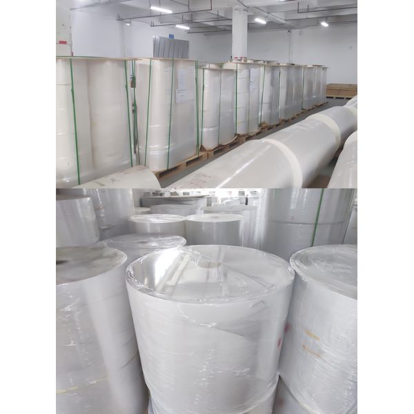 Top Direct Thermal Label Paper Roll Master Self Adhesive Paper 70g 75g