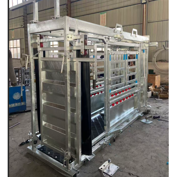 Galvanized Cattle Chute Crush With Extrusion And Weighting