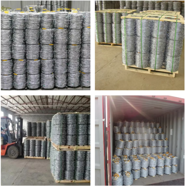 Hot-Dipped Galvanized Razor Barbed Wire with Anti-Corrosion Coating and Sharp Razor Blades for Perimeter Security