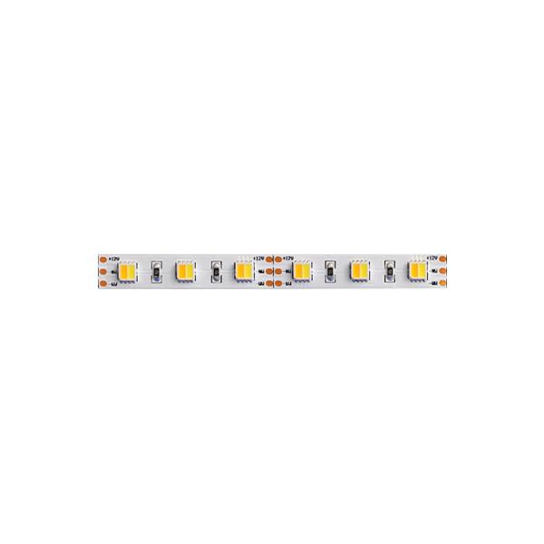 CCT Tunable Adjustable Led Strip Light WW CW Led Streifen Farbwechsel Dmmbar