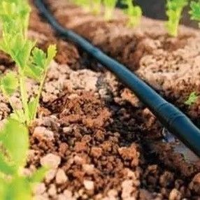Simple Structure Greenhouse Drip Irrigation System With Pe Pipe Material