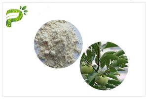 China Natural Plant Ursolic Acid Extract , CAS 77 52 1 Persimmon Leaf Powder High Purity on sale
