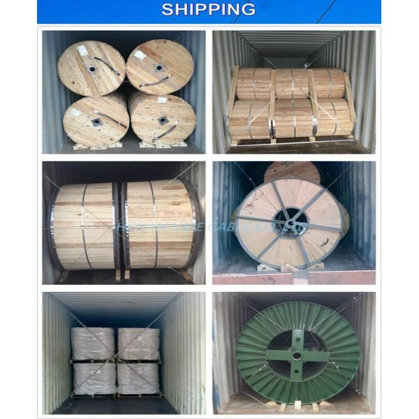 BS3242 Standard Low Voltage 0.6/1kv Bare Conductor 15sqmm up to 700sqmm AAAC for Your