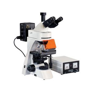 Wide View Field L3001 Epifluorescent Microscope With Transmitted Field