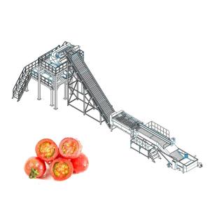 Automatic Tomato Processing Line For Paste Making 110V
