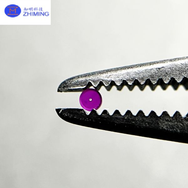 Ruby Through-Hole Bearing – Precision Jewel Bearing for High-Accuracy Instruments