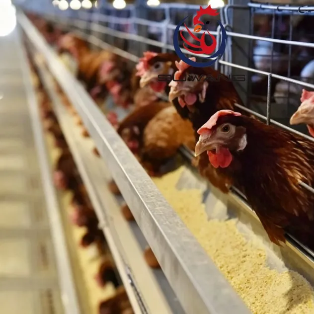 Hot Dipped Galvanized H Type Layer Cage 3-10 Tiers with Automatic Egg Collection