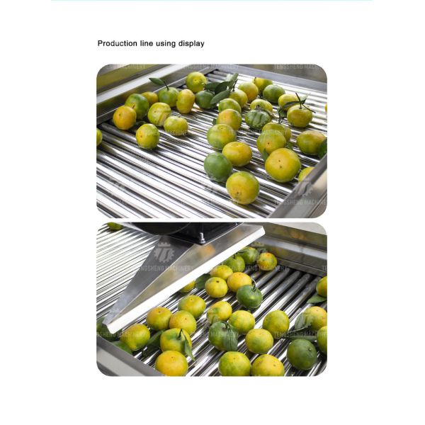 350KG 380V Vegetable drain air drying machine complete set of equipment for fruit and vegetable air drying parallel air