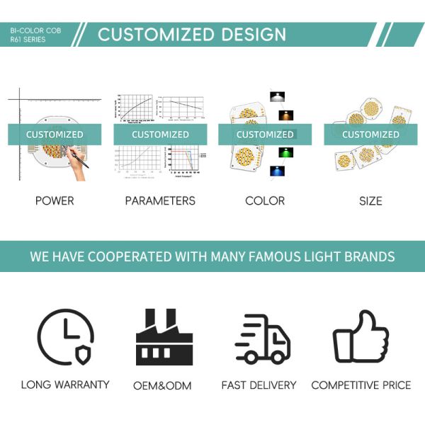 R61 60X60MM LED Chip White 200W+200W Light Lamp Bead Diode SMD LED chip