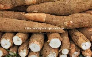 Buy cheap Automatic Cassava Flour Production Line for Sale product