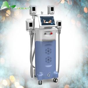 Buy cheap Body Cryolipolysis Slimming Machine , Cellulite Weight Reduction Equipment product