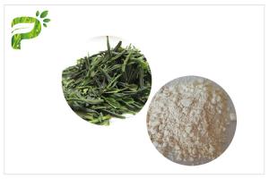 China Natural Anti - Oxidation EGCG Green Tea Extract Anti Cancer Powder CAS 989 51 5 on sale