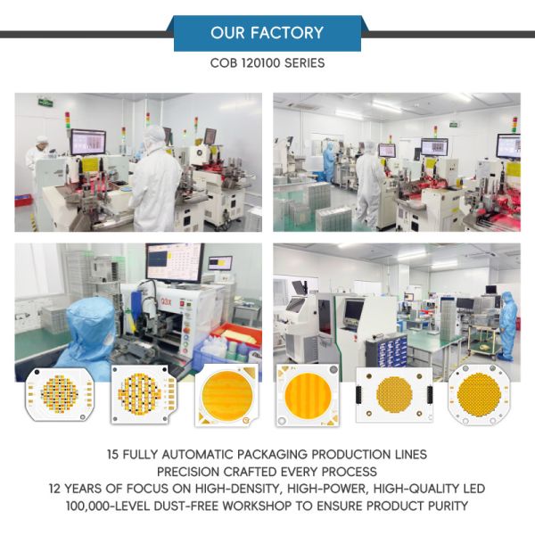 1200W 1200W High Power LED COB With 95 LM/W Full Spectrum Dual Color