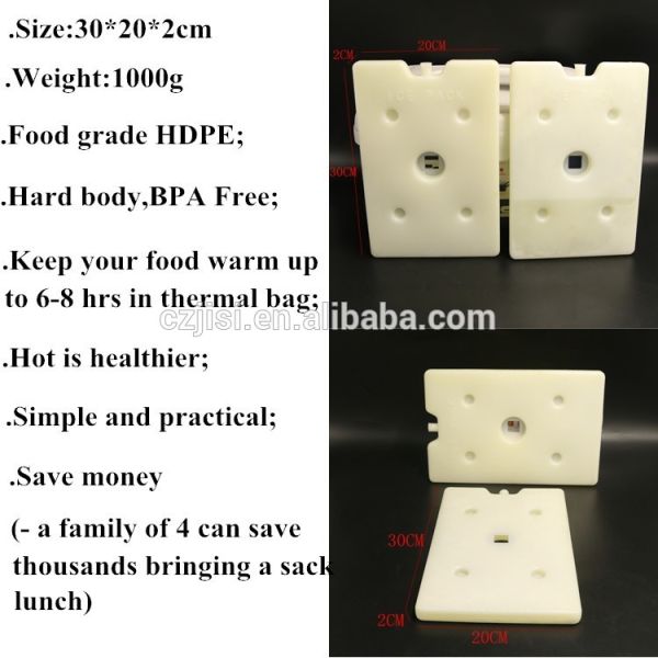 15 * 10 * 1cm Small Reusable Gel Ice Packs With A Hard Plastic Shell Inside