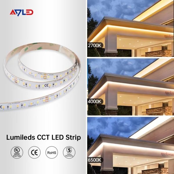 High Light Output CCT 2700K-6500K IP67 Dimmable COB LED Strip For Brightness