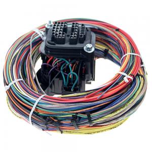 China Male-Female PVC Tube ODM OEM RoHS Compliant Civic Fog Lights Wiring Harness and Cable Assembly on sale