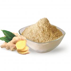 China Dehydrated Dried Organic Ginger Root Powder 10% Moisture on sale