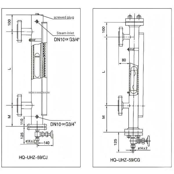 Side-mounted magnetic level gauge with remote transmission