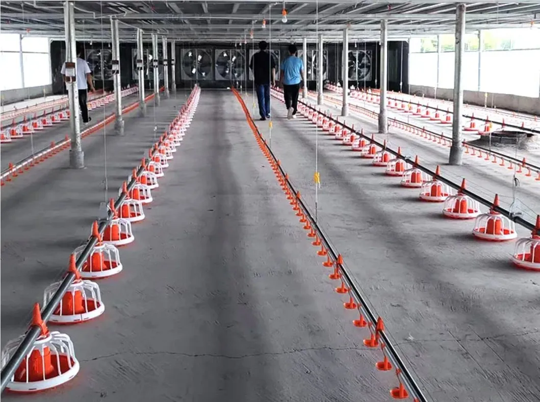 Automated feeding process