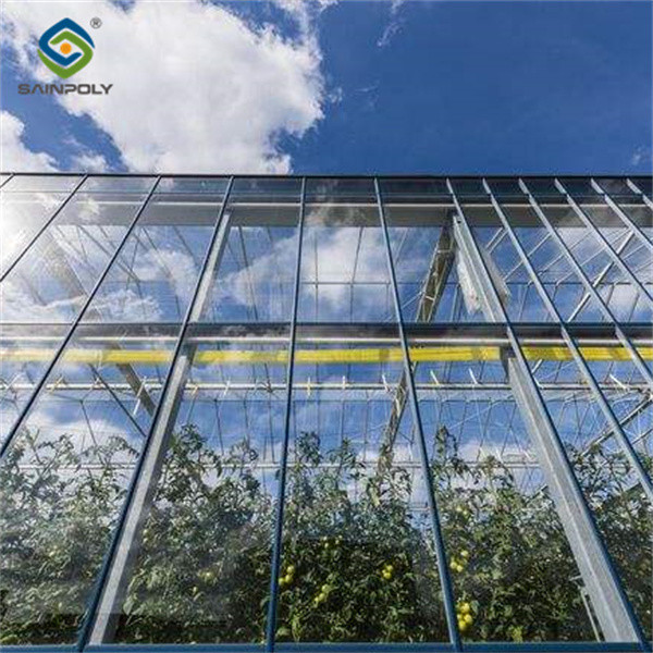 Customizable Dutch Venlo Greenhouse