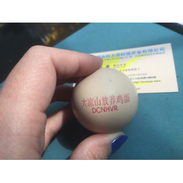 Easy To Operate Egg Batch Number Printer With Computer Software Control