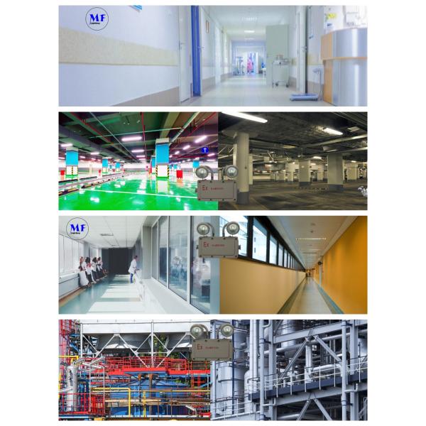 110lm/W 90° IP66 6000K Grey Aluminum Emergency Light for Industry
