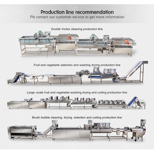 250KG Fruit and vegetable washing machine automatic sterilization washing machine fruit and vegetable processing