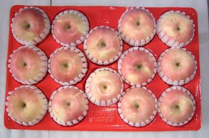 Black Plastic Apple Fruit Packaging Tray PP Fruit Tray Liner for Manufacturer