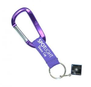 Buy cheap Silk Screen Print Logo Carabiner Key Chains , Polyester Lanyard Keychain With Lapel Pin product