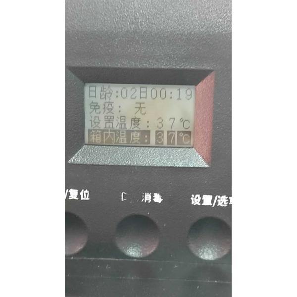 1.1-inch 12864 COG LCD panel front view