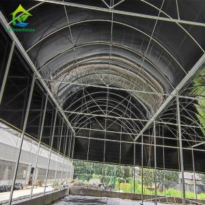 Buy cheap Multi Sapn Balckout Light Deprivation Greenhouse For Mushroom Growing product