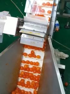 Buy cheap Multi Weigher Vacuum Packaging Machine Yolk Sorting And Conveying Project product