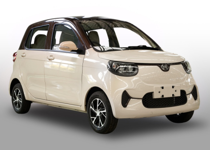 Right Hand Drive Hatchback Electric Cars Automatic RHD 115V Battery