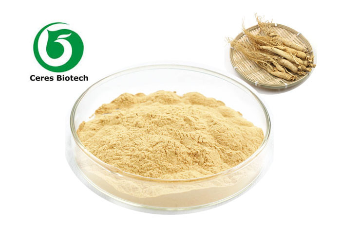 Buy cheap Mental Ability Siberian Root Extract 30% 80% Ginsenosides Panax Ginseng Extract product