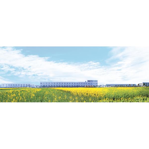 Silicon Carbide Furnace Lining Bricks Oxidation Resistance