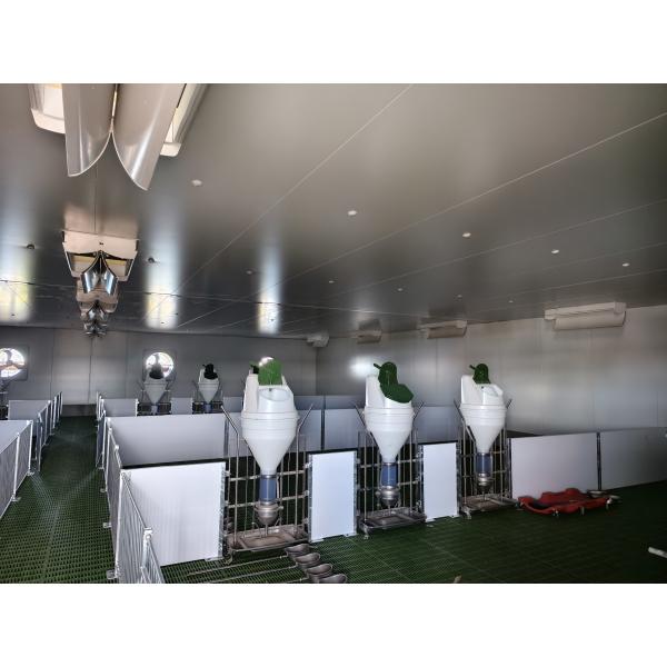 Customized Light Steel Frame House , Galvanized Steel Poultry House