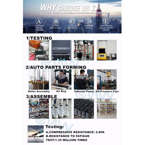 3w0616039d Front Pneumatic Volkswagen Struts For Phaeton Bentley