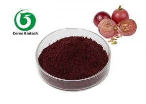 China Pure Organic Grapeseed Extract Proanthocyanidine Opc 95% Food Grade Antioxidant on sale