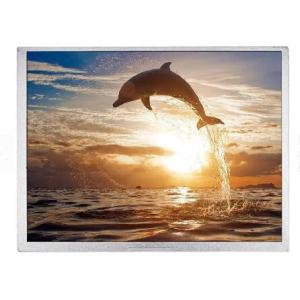 China 800:1 800x600 TFT LCD Modules Display Medical Apparatus Instruments on sale