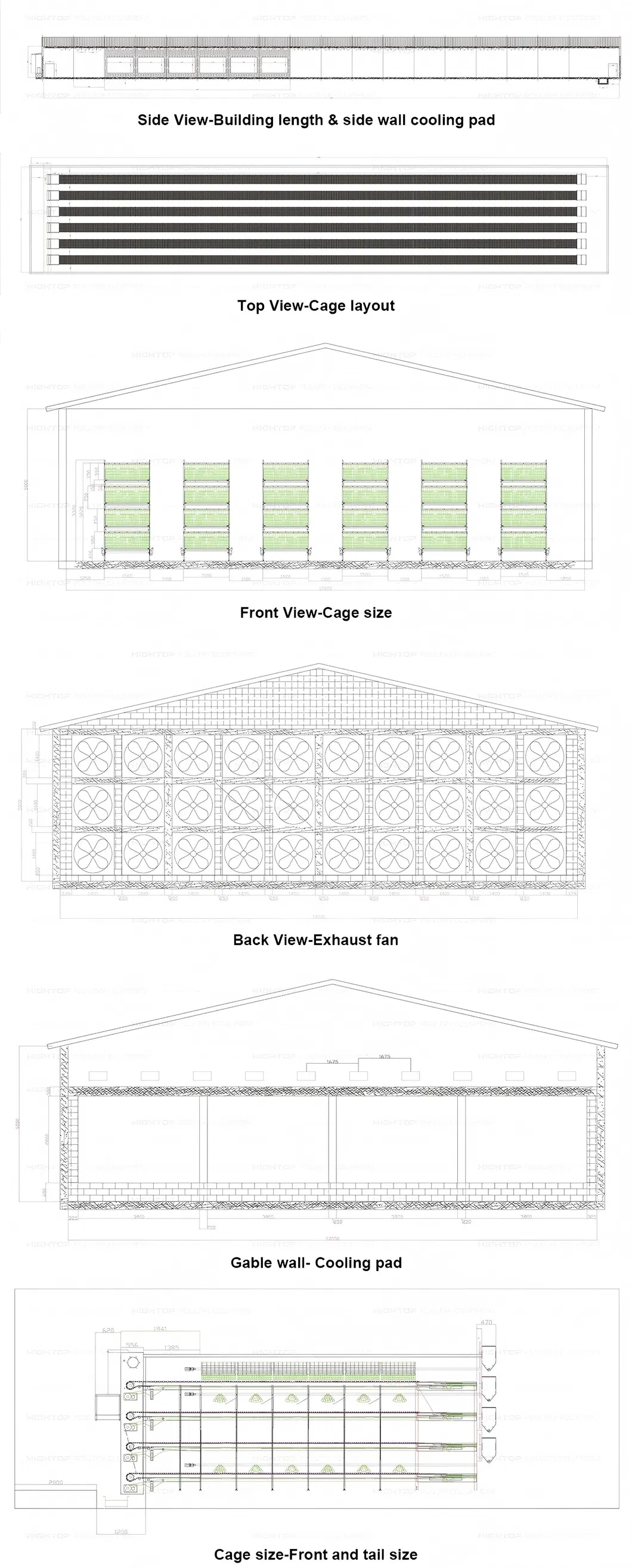 Automatic Chain Harvesting Broiler Cage System High Capacity For Poultry Farming