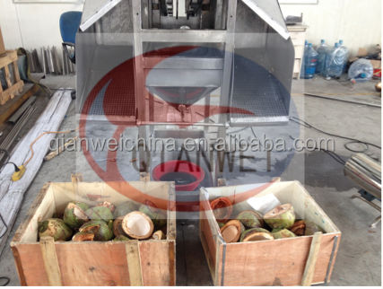 Auto Desiccated Coconut Power Flour Processing Plant Processing Line Production Line
