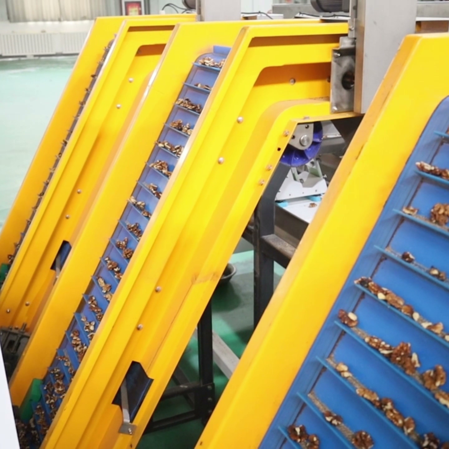 Quick walnut kernel sorting machine with 12 multi-grade adaptive outlets,