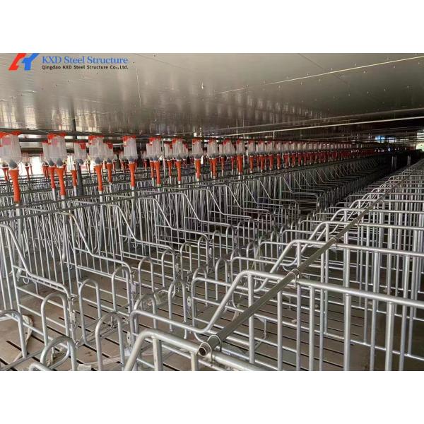 Plastic Pig Dry Wet Feeder Automatic Dry And Wet Feeder Piggery Equipment