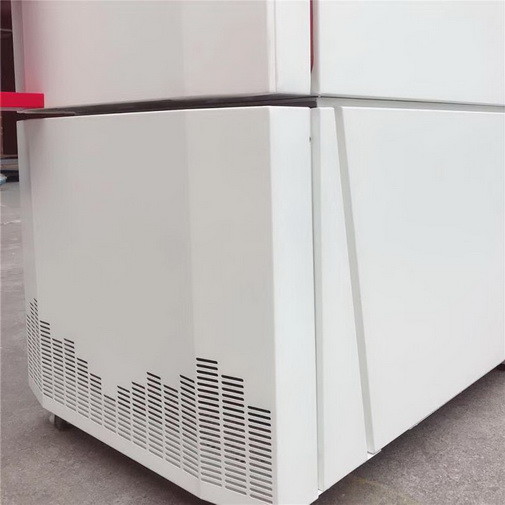 Cold Balanced Control Programmable Temperature and Humidity Environmental Test