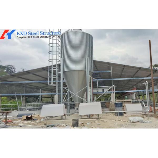 Plastic Pig Dry Wet Feeder Automatic Dry And Wet Feeder Piggery Equipment