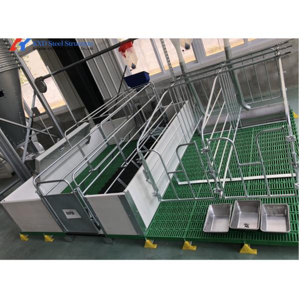 Prefabricated Steel Frame Housing Lightweight Steel Structure Piggery Housing